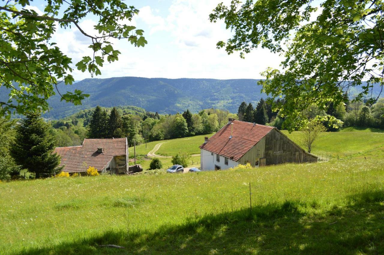 Villa Viaux-Fontaine Saulxures-sur-Moselotte Exterior foto